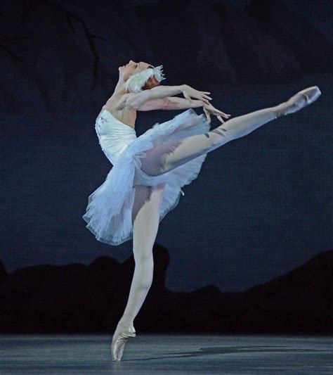 ballet reddit|ballet gossip.